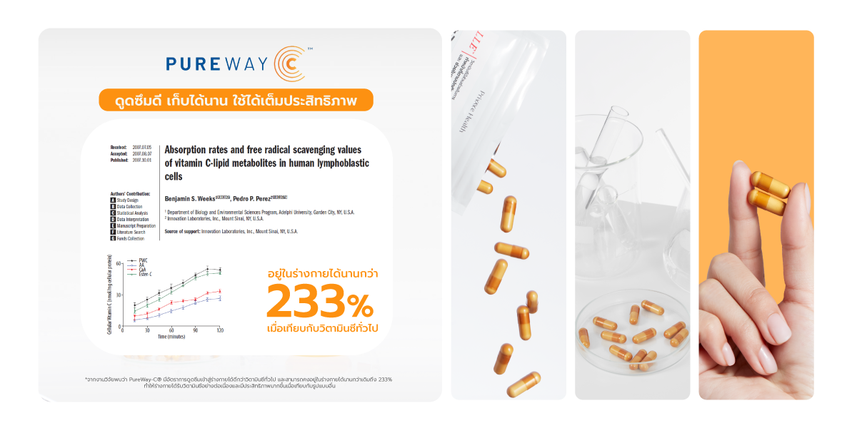 ผลวิจัย PureWay-C ดูดซึมดี อยู่ในร่างกายได้นานกว่า 233% เมื่อเทียบกับวิตามินซีทั่วไป
