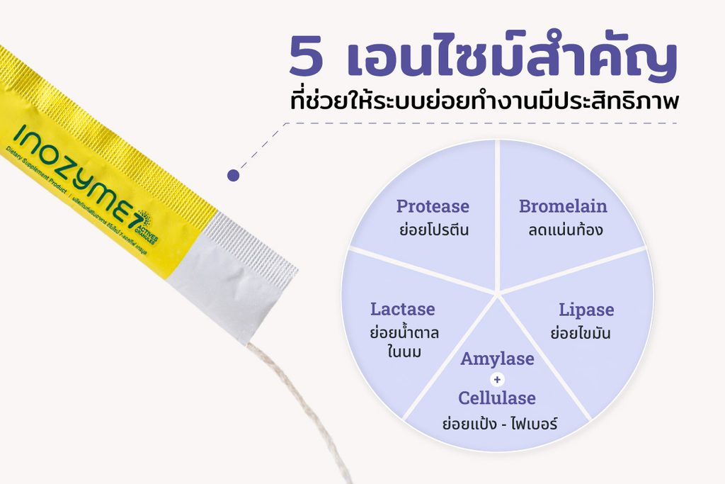 5 เอนไซม์สำคัญที่ช่วยให้ระบบย่อยทำงานมีประสิทธิภาพ