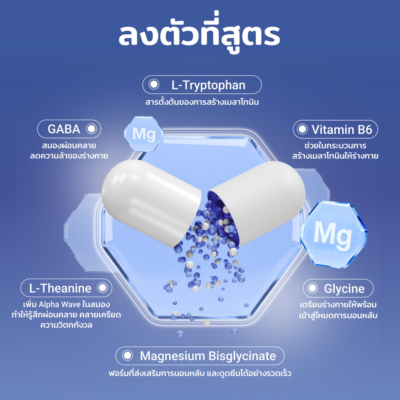 ส่วนประกอบใน Mg Nite Complex — Mg, GABA, L-Theanine, Glycine, L-Tryptophan, Vitamin B6