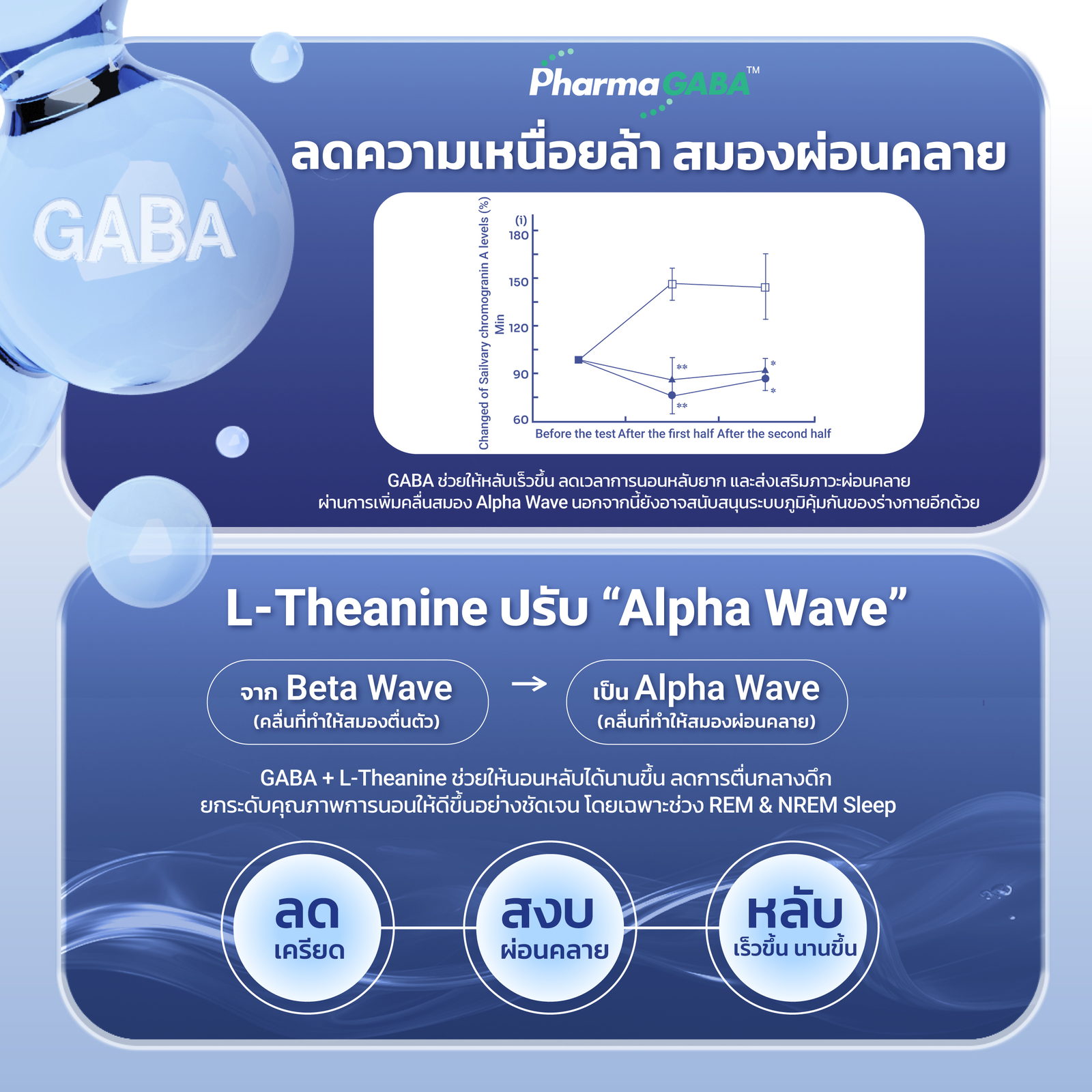 GABA และ L-Theanine ลดความเหนื่อยล้า สมองผ่อนคลาย