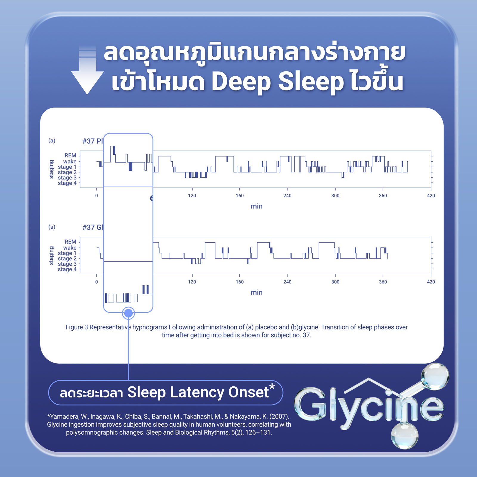 Glycine ลดอุณหภูมิแกนกลางร่างกาย เข้าโหมด Deep Sleep