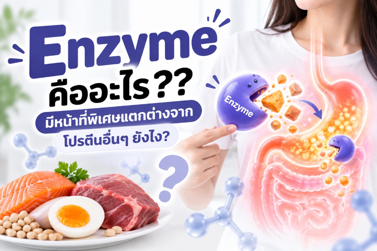Enzyme คืออะไร